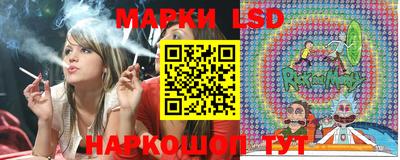 СК Камышлов