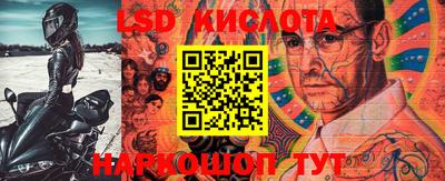 крисы Кандалакша