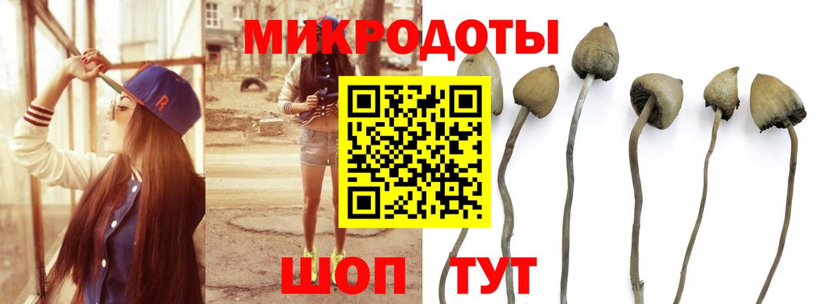 Галлюциногенные грибы мицелий  Вход с VPN  Зеленогорск  Галлюциногенные грибы GOLDEN TEACHER 