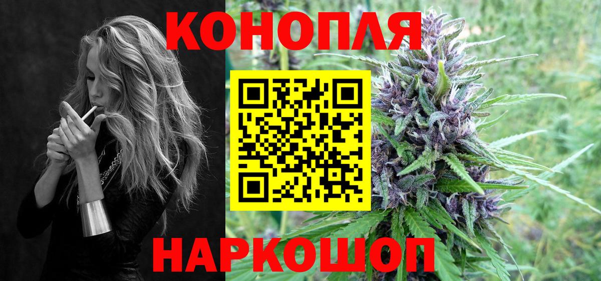 Канабис семена Зеленогорск